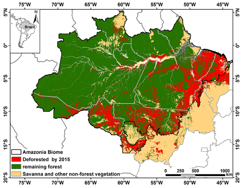 Área de floresta destruída (a vermelho)