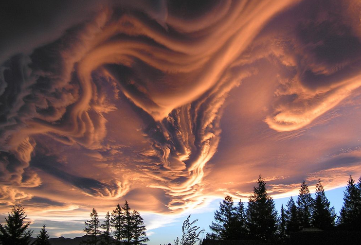 Asperitas