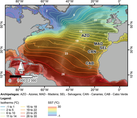 Temperatura média anual da água do oceano Atlântico